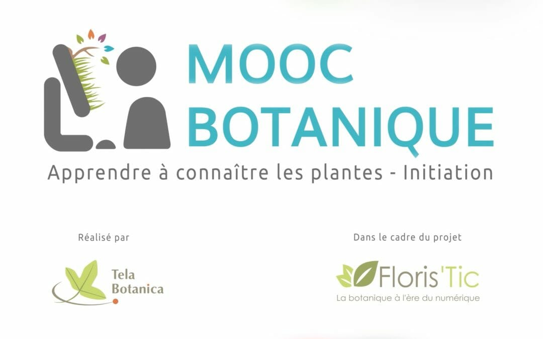 Connaitre les plantes