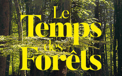 Film – Le Temps des Forêts