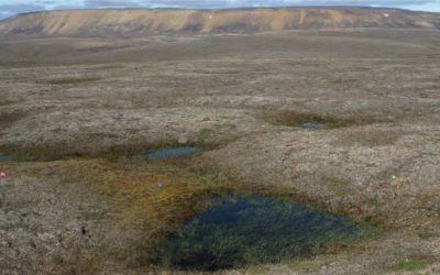En Arctique, le permafrost fond 70 ans plus tôt que prévu !