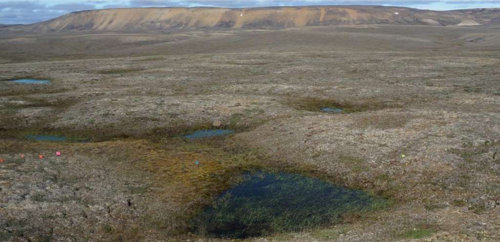 En Arctique, le permafrost fond 70 ans plus tôt que prévu !