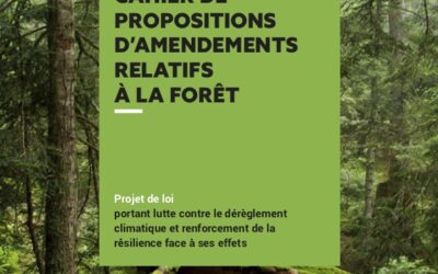 Ne laissons pas détruire nos forêts