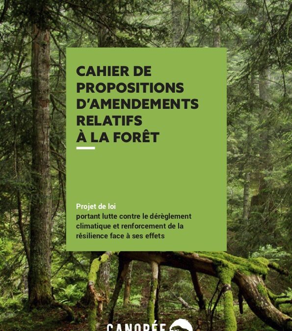 Ne laissons pas détruire nos forêts